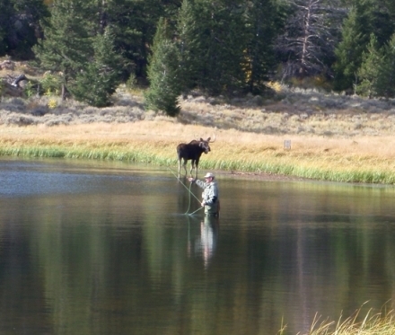 Moose and Fisherman